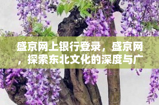 盛京网上银行登录，盛京网，探索东北文化的深度与广度