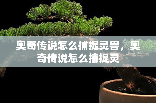 奥奇传说怎么捕捉灵兽，奥奇传说怎么捕捉灵