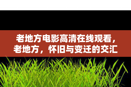 老地方电影高清在线观看，老地方，怀旧与变迁的交汇点