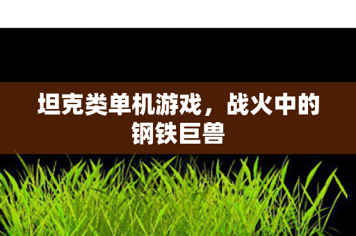 坦克类单机游戏，战火中的钢铁巨兽