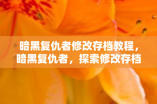 暗黑复仇者修改存档教程，暗黑复仇者，探索修改存档的无限可能