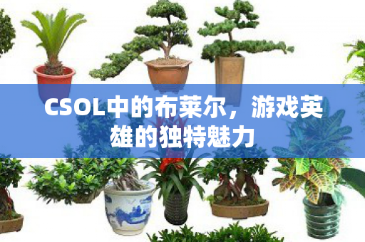 CSOL中的布莱尔,游戏英雄的独特魅力 CSOL中的布莱尔,游戏英雄的独特魅力
