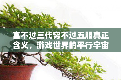 富不过三代穷不过五服真正含义，游戏世界的平行宇宙，探索官方与非官方服务器的差异