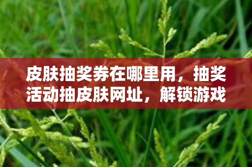 皮肤抽奖券在哪里用，抽奖活动抽皮肤网址，解锁游戏新体验，赢取稀有皮肤