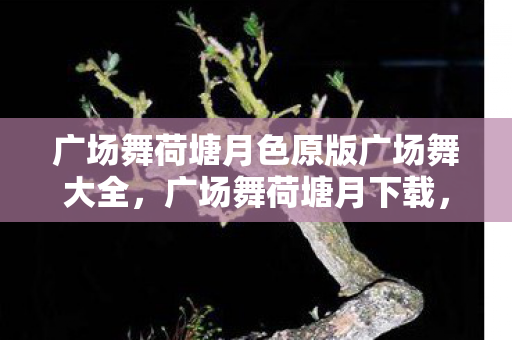 广场舞荷塘月色原版广场舞大全，广场舞荷塘月下载，舞动生活的旋律，共享音乐的快乐