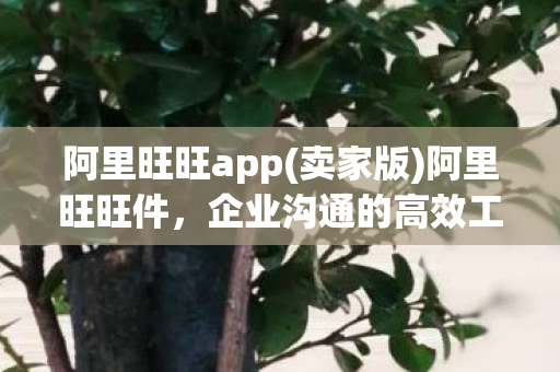 阿里旺旺app(卖家版)阿里旺旺件，企业沟通的高效工具与合规运营的重要性
