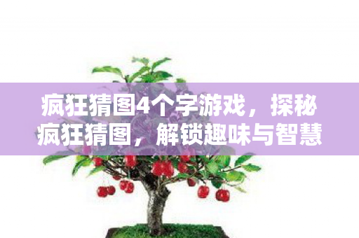 疯狂猜图4个字游戏，探秘疯狂猜图，解锁趣味与智慧的奇妙之旅