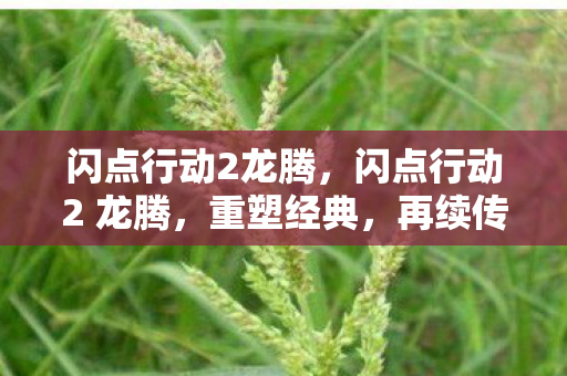 闪点行动2龙腾，闪点行动2 龙腾，重塑经典，再续传奇