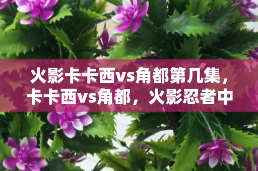 火影卡卡西vs角都第几集,卡卡西vs角都,火影忍者中的经典对决 火影卡卡西vs角都第几集,卡卡西vs角都,火影忍者中的经典对决