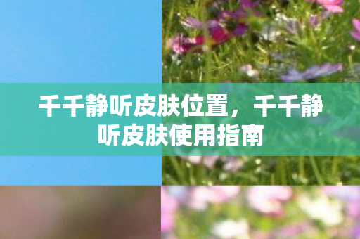 千千静听皮肤位置，千千静听皮肤使用指南