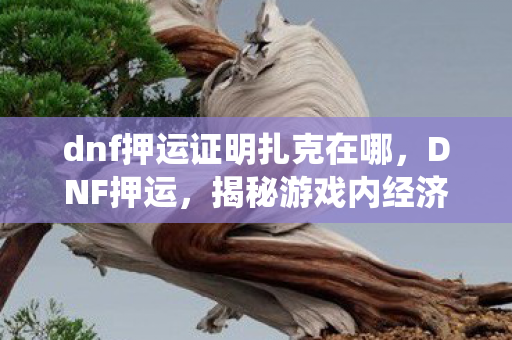 dnf押运证明扎克在哪，DNF押运，揭秘游戏内经济系统的奥秘