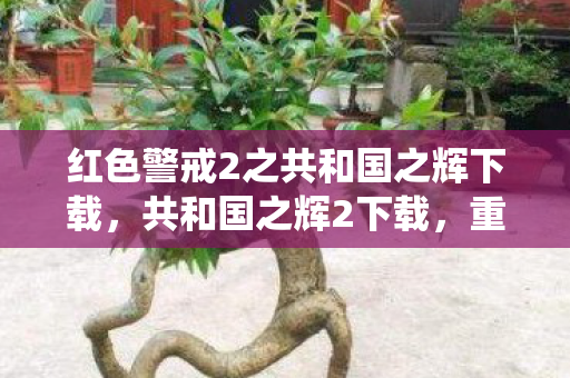 红色警戒2之共和国之辉下载，共和国之辉2下载，重温经典战役，畅享游戏乐趣