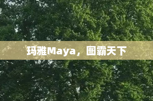玛雅Maya，图霸天下
