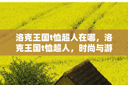 洛克王国t恤超人在哪，洛克王国t恤超人，时尚与游戏的完美结合