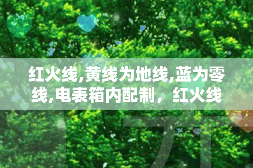 红火线,黄线为地线,蓝为零线,电表箱内配制，红火线，探索游戏私服的灰色边界