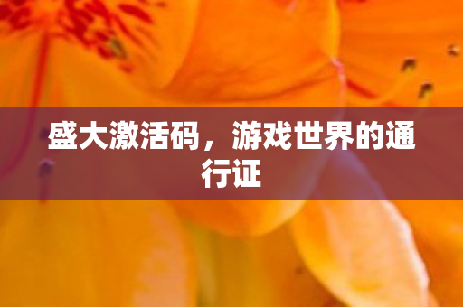 盛大激活码,游戏世界的通行证 盛大激活码,游戏世界的通行证