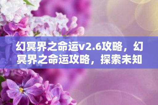 幻冥界之命运v2.6攻略，幻冥界之命运攻略，探索未知，掌握命运