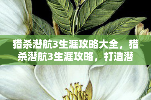 猎杀潜航3生涯攻略大全，猎杀潜航3生涯攻略，打造潜艇指挥官传奇