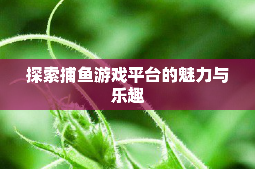 探索捕鱼游戏平台的魅力与乐趣