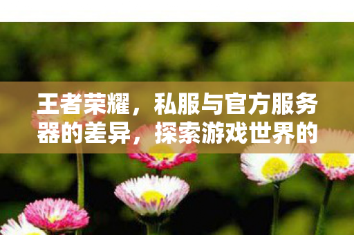 王者荣耀，私服与官方服务器的差异，探索游戏世界的另一面