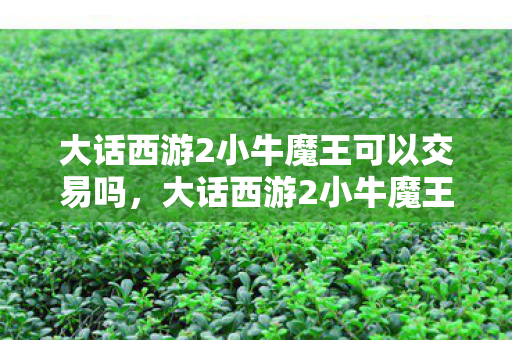 大话西游2小牛魔王可以交易吗，大话西游2小牛魔王，传奇背后的故事与策略