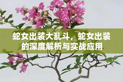 蛇女出装大乱斗，蛇女出装的深度解析与实战应用