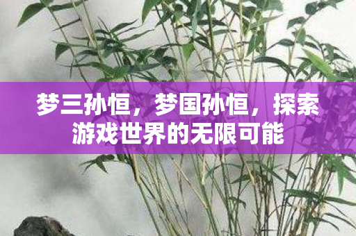 梦三孙恒，梦国孙恒，探索游戏世界的无限可能