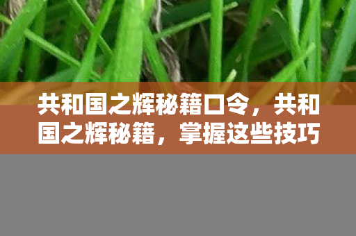 共和国之辉秘籍口令，共和国之辉秘籍，掌握这些技巧，轻松提升游戏水平