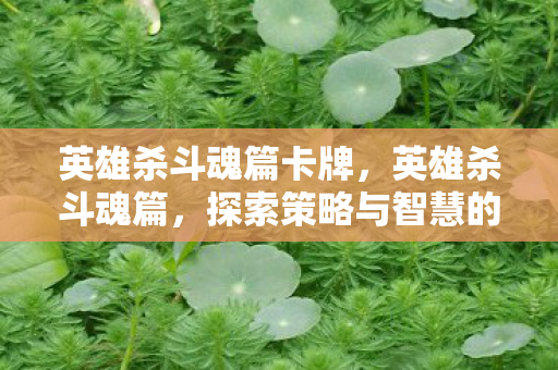 英雄杀斗魂篇卡牌，英雄杀斗魂篇，探索策略与智慧的深度碰撞