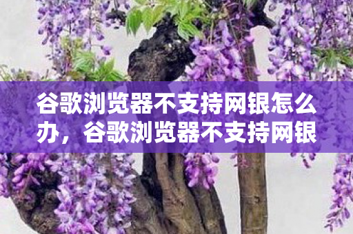 谷歌浏览器不支持网银怎么办，谷歌浏览器不支持网银，用户需了解的限制与替代方案