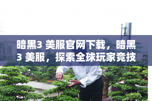 暗黑3 美服官网下载，暗黑3 美服，探索全球玩家竞技的舞台