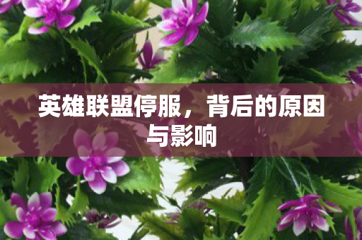 英雄联盟停服,背后的原因与影响 英雄联盟停服,背后的原因与影响
