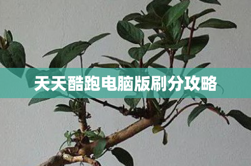 天天酷跑电脑版刷分攻略 天天酷跑电脑版刷分攻略