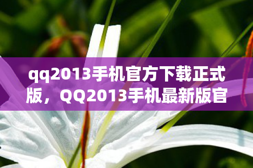 qq2013手机官方下载正式版，QQ2013手机最新版官方下载体验