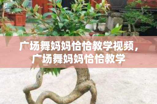 广场舞妈妈恰恰教学视频，广场舞妈妈恰恰教学