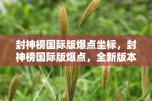 封神榜国际版爆点坐标，封神榜国际版爆点，全新版本引领全球玩家热潮