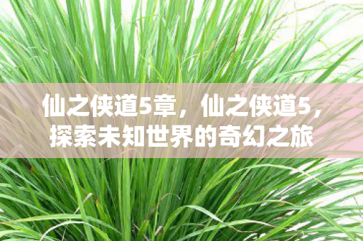 仙之侠道5章，仙之侠道5，探索未知世界的奇幻之旅