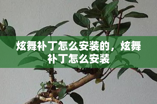 炫舞补丁怎么安装的，炫舞补丁怎么安装