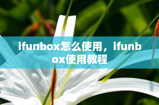 ifunbox怎么使用，ifunbox使用教程