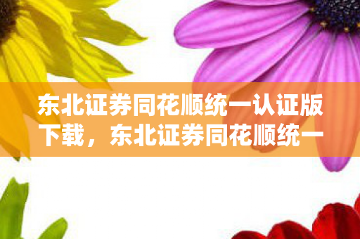 东北证券同花顺统一认证版下载，东北证券同花顺统一认证版，提升投资效率与安全性的重要一步