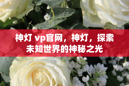 神灯 vp官网，神灯，探索未知世界的神秘之光
