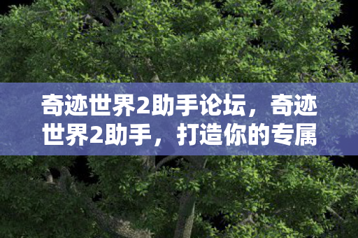 奇迹世界2助手论坛，奇迹世界2助手，打造你的专属游戏攻略神器