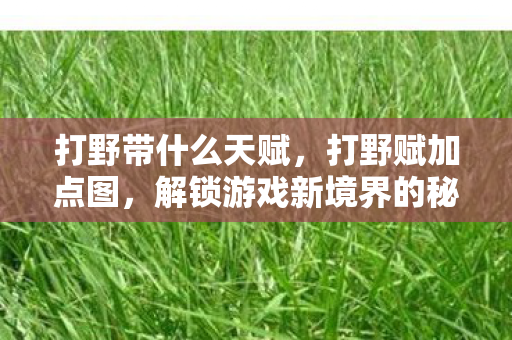 打野带什么天赋，打野赋加点图，解锁游戏新境界的秘籍