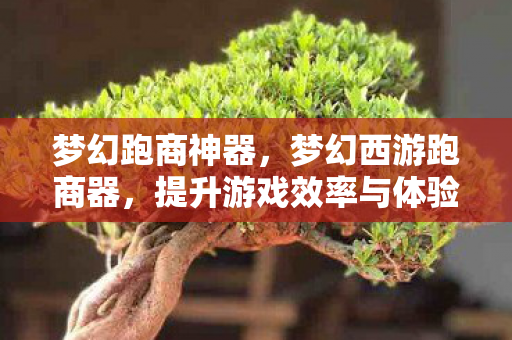 梦幻跑商神器，梦幻西游跑商器，提升游戏效率与体验的智能工具