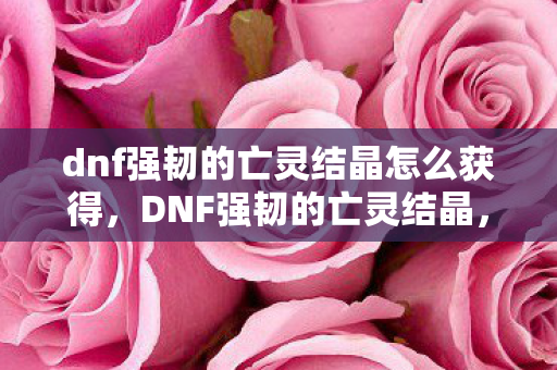 dnf强韧的亡灵结晶怎么获得，DNF强韧的亡灵结晶，探索游戏内稀有材料的魅力与获取途径