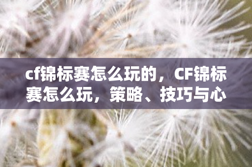 cf锦标赛怎么玩的，CF锦标赛怎么玩，策略、技巧与心态