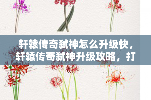 轩辕传奇弑神怎么升级快，轩辕传奇弑神升级攻略，打造强力角色，征服游戏世界