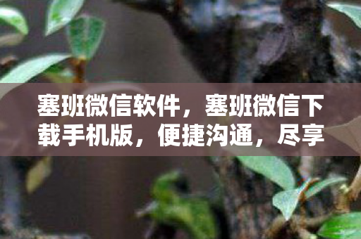 塞班微信软件，塞班微信下载手机版，便捷沟通，尽享高效社交