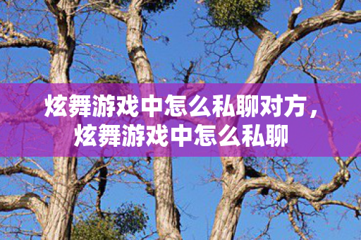 炫舞游戏中怎么私聊对方，炫舞游戏中怎么私聊