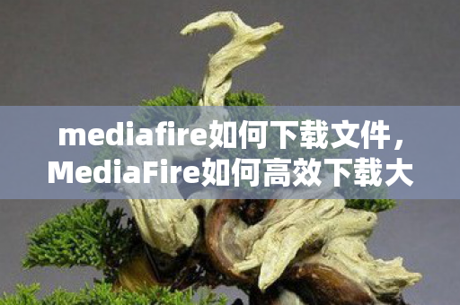 mediafire如何下载文件，MediaFire如何高效下载大文件与多文件